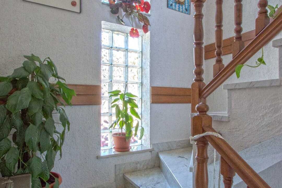 Poglej vse